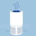 The Truth About Air Purifiers: How Long Does It Take to See Results?