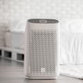 The Truth About Ozone-Emitting Air Purifiers: An Expert's Perspective