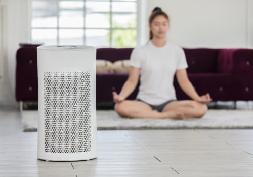 The Ultimate Guide to Choosing and Using an Air Purifier: Tips from an Expert